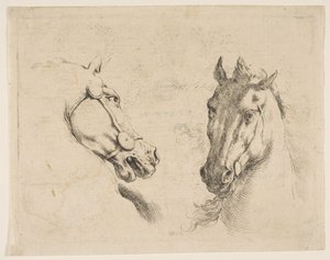 Duas cabeças de cavalo, ca. 1649 de Stefano della Bella