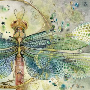  de Stephanie Law