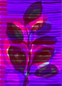 Risca botânica I, 2018 (digital) de Stephen Dow