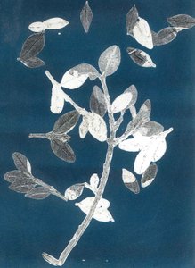 Jardim da meia-noite II, 2015 (mono-impressão sobre papel) de Stephen Dow
