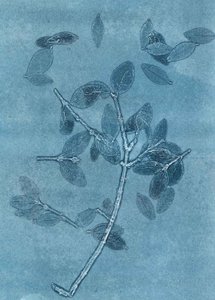 Jardim da meia-noite I, 2015 (mono-impressão sobre papel) de Stephen Dow
