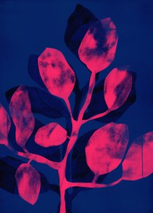 Jardim de verão III cor-de-rosa, 2018 (digital) de Stephen Dow
