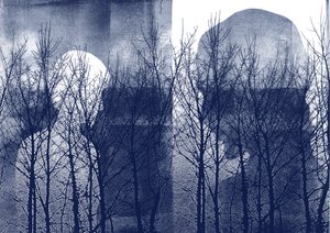 Tears I Beld 171, 2016 de Stephen Dow