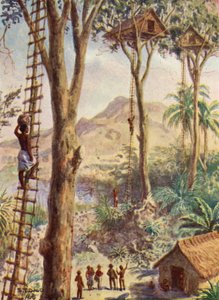 Ilustração da vida do bispo Patteson (litografia a cores)