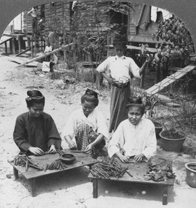 Fazendo os enormes charutos fumados por mulheres, Birmânia, 1908 de Stereo Travel Co