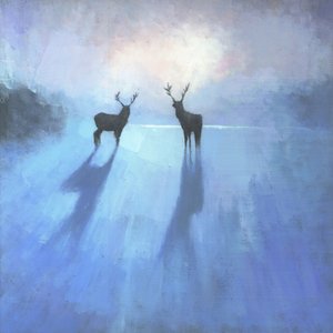 Veados majestosos no inverno de Steve Mitchell