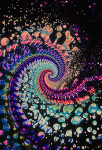 Espiral Morta, 2024