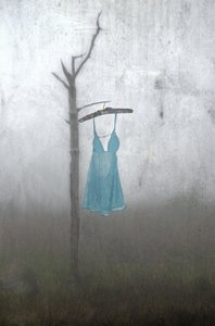 Vestido Azul Nebuloso de Steven Gibson