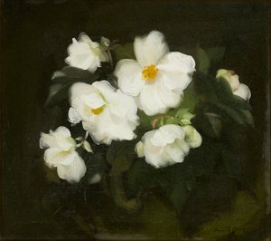 Rosas brancas (óleo sobre tela) de Stuart Park