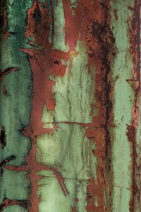 Textura verde enferrujada de Studio Meikle