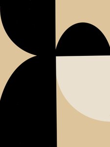 Curvas geométricas abstratas