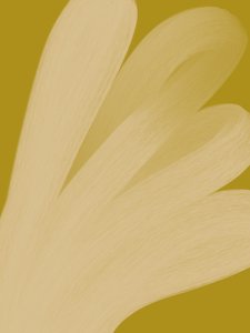 Resumo: Golden Flow de Studio Palette