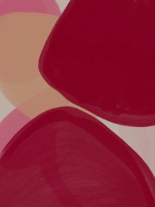 Curvas Pêssego Carmesim de Studio Palette