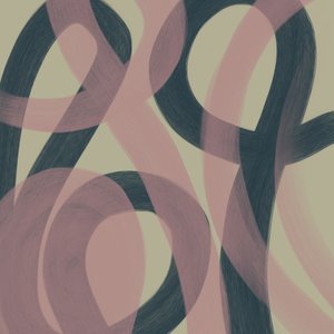 Curvas abstratas fluidas de Studio Palette