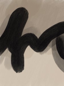 Curva Negra Fluida