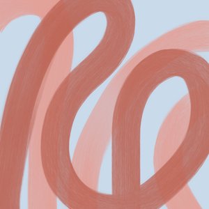 Curvas fluidas em terracota de Studio Palette