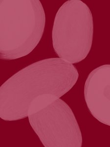 Formas Carmesim Fluidas de Studio Palette