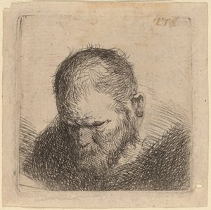 Homem barbudo olhando para baixo de Studio of Rembrandt van Rijn