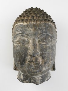Cabeça colossal de Buda de Sui Dynasty Chinese School