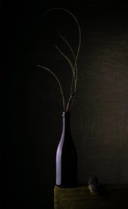 Natureza morta com garrafa escura de Sumit Dhuper