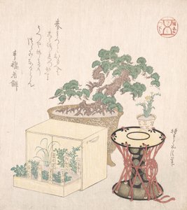 Pinheiro em vaso, Tambor e Sete Ervas Plantadas em Caixa, Séc. XVIII-XIX., Séc. XVIII-XIX. de Sunayama Gosei