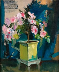 Camellia, c.1920 (óleo sobre painel) de Sunderland Rollison
