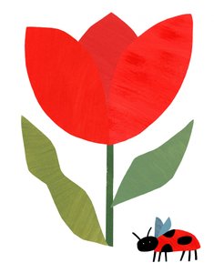 Tulipa Vermelha e Joaninha de Susan Black
