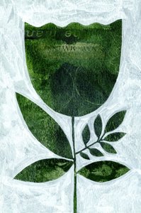  de Susan Black