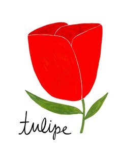 Tulipa Vermelha Vibrante de Susan Black