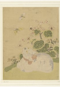 gato e borboletas de Suzuki Harunobu (attributed to)