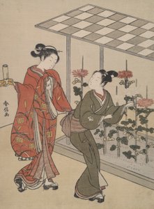 Visualização de Crisântemo de Suzuki Harunobu