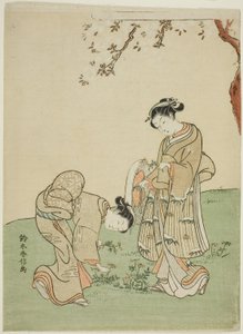 Colhendo flores da primavera de Suzuki Harunobu
