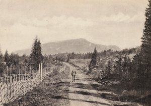 Sverige / Suécia: Jamtland, Areskutan Fran Undersaker (foto a p/b) de Swedish Photographer