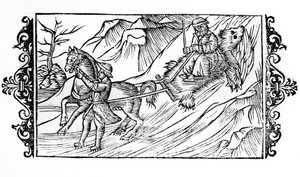 Cavalo arrastando na neve uma pele de urso sobre a qual está sentado um finlandês - em "De Gentibus septrionalibus" do Arcebispo Olaus Magnus, Suécia de Swedish School