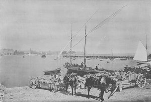 Geneve, Le Port (foto a p/b) de Swiss Photographer