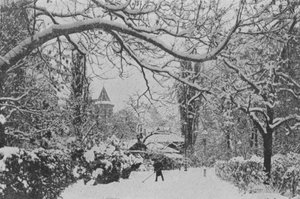 Neuchatel, The English Garden (foto a p/b) de Swiss Photographer