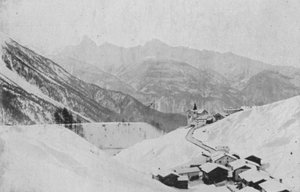 Meadows pres Davos (foto a p/b) de Swiss Photographer