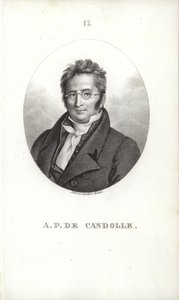 Agostinho Pyramus de Candolle de Swiss School