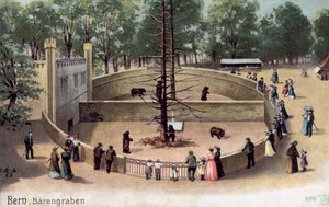 Berna, Bear Garden (cor litho) de Swiss School