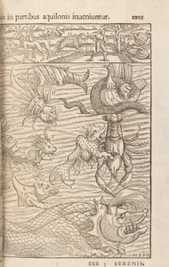 Página 1005 da Cosmographiae Universalis por Sebastian Muenster, Basel, 1572 de Swiss School