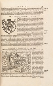 Página 983 de Cosmographiae Universalis por Sebastian Muenster, Basel, 1572 de Swiss School