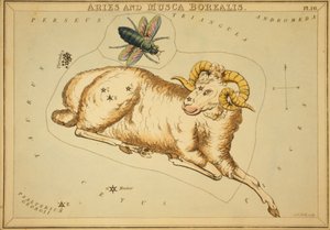 Áries e Musca Borealis, Ilustração do 