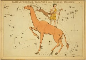 Camelopardalis, Tarandus e Guardião do Messium, Ilustração de 