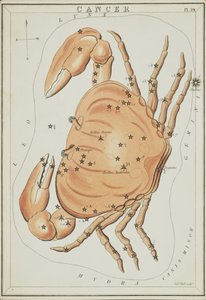 Câncer, ilustração de 