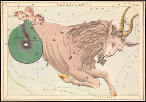 Capricornus, c.1825 (cartão, papel, tecido) de Sydney Hall