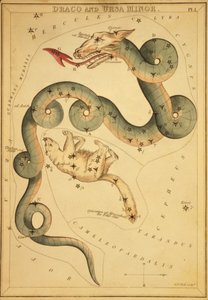 Draco e Ursa Menor, ilustração de 