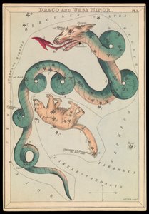 Draco e Ursa Menor, c.1825 (cartão, papel, tecido) de Sydney Hall