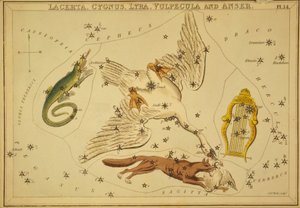 Lagarto, Cisne, Lyra, Raposa e Ganso, Ilustração de 