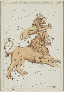 Leão Maior e Leão Menor, Ilustração do 