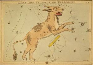 Lynx e Telescopium Herschilii, ilustração de 